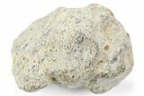 Lunar Meteorite ( g) - NWA #263816-1